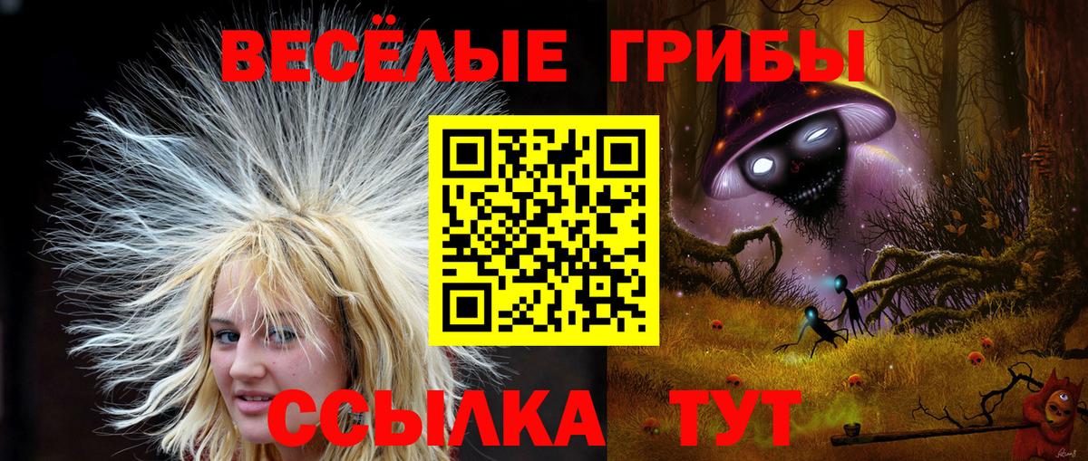 Советский  Галлюциногенные грибы Psilocybe  Вход с VPN 
